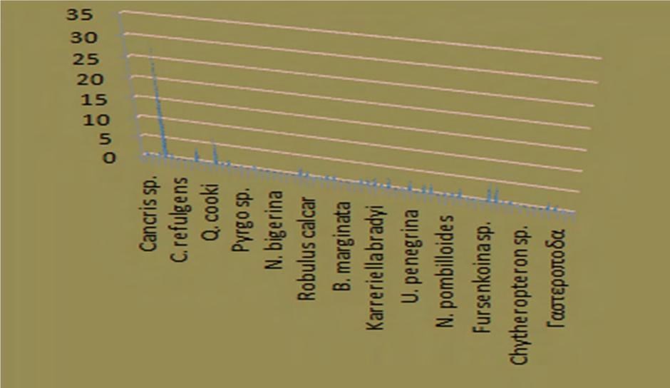 4.ΒΙΟΣΤΡΩΜΑΤΟΓΡΑΦΙΑ 4.1 ΑΠΟΤΕΛΕΣΜΑΤΑ Παρουσίαση Πίνακα Έγινε αναγνώριση των μικροαπολιθωμάτων που συλλέξαμε από την οποία προέκυψε ένας αριθμός αποτελεσμάτων, διαφορετικός για κάθε δείγμα.