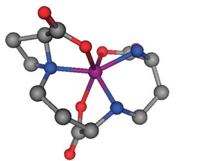 Yellow= metal Red = oxygen Blue = nitrogen Green = carbon COOH N COOH N COOH COOH COOH NH NH 2 Nicotianamine NH COOH OH Phytosiderophore Grasses have a suite