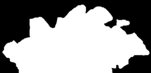 Organic S R-SH H 2 S SO 4 2- Sulfate +6 Τά φυτά προσλαβάνουν το θείο από το έδαφος