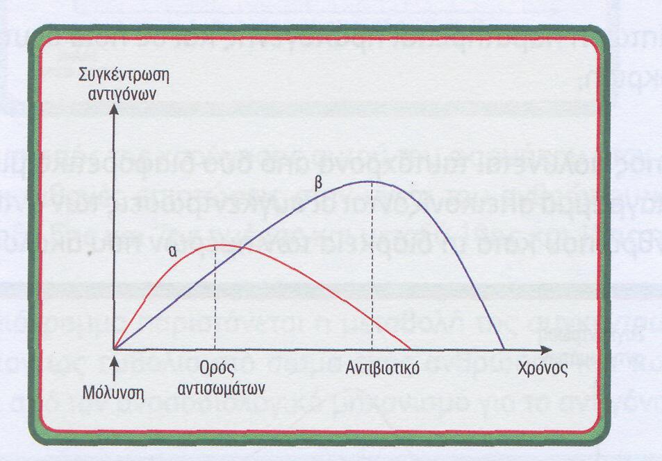 ε. Για ποιο λόγο είναι δυνατό τα αντισώματα του ορού να εξουδετερώνουν μόνο το αντιγόνο α, ενώ το αντιβιοτικό να εξουδετερώνει μόνο