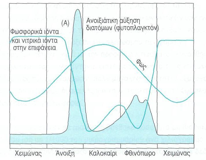 μεταλλάξεις στο DNA, προκαλεί καταρράκτη και καρκίνο του δέρματος. 3. Διάγραμμα με κύκλο νερού ΟΕΦΕ 2011 ΘΕΜΑ 4 ο 4.