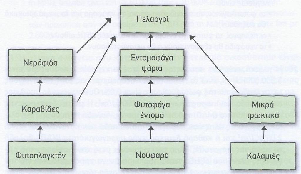 β. Από τη μελίγκρα (5.000 ΚJ) μεταφέρθηκε στην πασχαλίτσα ενέργεια 500 ΚJ. Άρα η ενέργεια που χάθηκε μεταξύ μελίγκρας και πασχαλίτσας είναι 4.