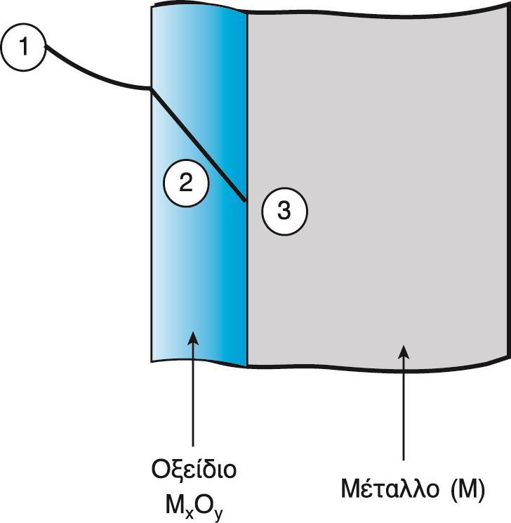 Κινητική της δομής 4 (3) Ρυθμιστικό βήμα διεργασίας Επί μέρους αντιδράσεις που συμβαίνουν κατά την οξείδωση ενός μετάλλου (Μ).