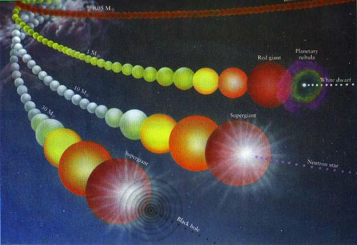 14 ΚΕΦΑΛΑΙΟ 1. ΑΣΤΕΡΕΣ ΝΕΤΡΟΝΙΩΝ Σχήμα 1.1: Εξέλιξη των αστέρων (credit: http://jila.colorado.edu/ ajsh/astr2030_ 11/starlife.jpg) 1.