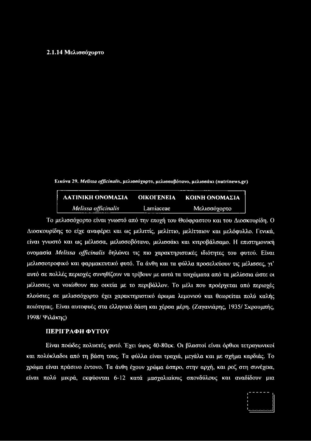 2.1.14 Μελισσόχορτο Εικόνα 29. M elissa officinalis, μελισσόχορτο, μελισσοβότανο, μελισσάκι (nutrinews.