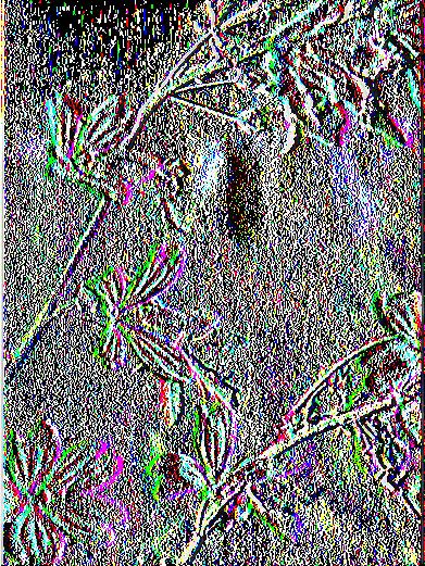 Malva sylvestris, μολόχα (Σκρουμπής, 1998) ΛΑΤΙΝΙΚΗ ΟΝΟΜΑΣΙΑ ΟΙΚΟΓΕΝΕΙΑ ΚΟΙΝΗ ΟΝΟΜΑΣΙΑ M alva sylvestris Malvaceae Μολόχα Είναι ένα από τα φυτά που χρησιμοποιήθηκαν από την αρχαιότητα ως βρώσιμο