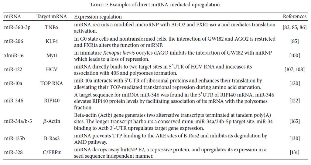Πρόσφατα βρέθηκε ότι ορισμένα mirnas μπορούν να ρυθμίσουν θετικά την έκφραση συγκεκριμένων μεταγράφων και πρωτεϊνών σε ειδικούς κυτταρικούς τύπους