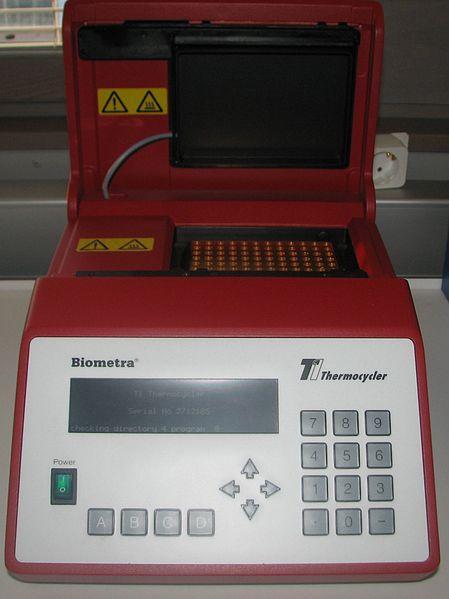 Αλυςιδωτι αντίδραςθ πολυμεράςθσ (PCR)
