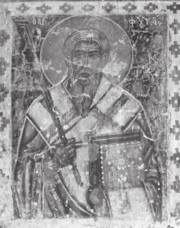 Стародубцев Т.