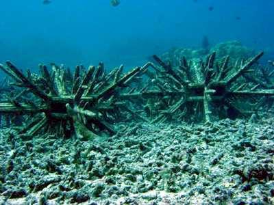 Σχήµα 3.3 Τεχνητοί ύφαλοι Αποστράγγιση παραλίας (beach drainage). Στραγγίζοντας τα νερό της παραλίας µειώνεται ο όγκος του επιφανειακού νερού κατά την απόπλυση.