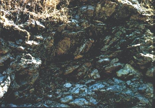 οφειόλιθους στην περιοχή Πηγών Τσίγκου Αγ. Δημητρίου, είναι σχεδόν αποκλειστικά ΒΔ-ΝΑ διεύθυνσης και δείχνουν κατάρευση της οφειολιθικής μάζας προς τα ΒΒΔ. Σχ.