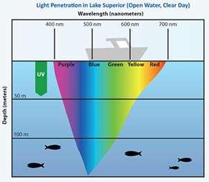 Rozdelenie rýb podľa teploty vody, pri ktorej dochádza k neresu Rozdelenie rýb podľa teploty vody, pri ktorej dochádza k neresu je nasledovné: 1.