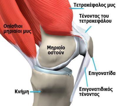 ΚΕΦΑΛΑΙΟ 2 2.