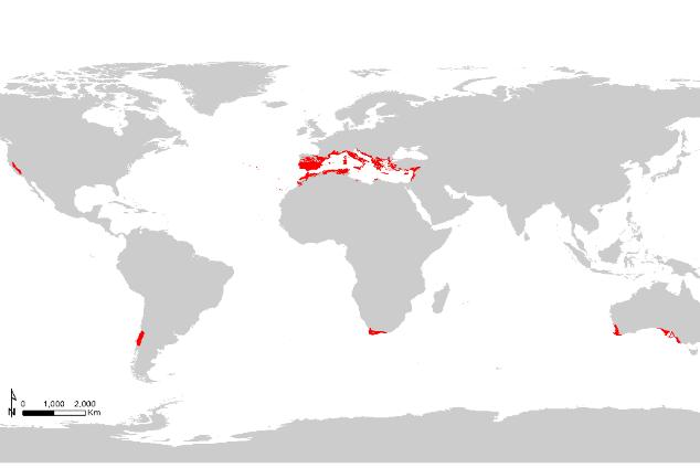 Κεφάλαιο 2 Εικόνα 2.1. Ο χάρτης με τις περιοχές που χαρακτηρίζονται από Μεσογειακού τύπου κλίμα (κόκκινες περιοχές)(πηγή:http://www.fao.org/geonwork/srv/en/main.home). 2.1.1 Οι δασικές πυρκαγιές στην Ελλάδα Οι δασικές πυρκαγιές αποτελούν ένα φαινόμενο το οποίο ταλανίζει πολλές χώρες της Μεσογείου, μεταξύ των οποίων και την Ελλάδα.
