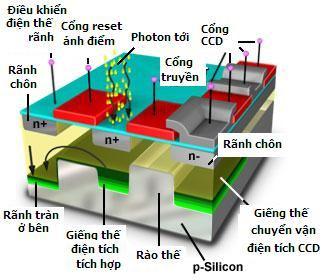hiệu ứng rào thế bề mặt giữa chất bán dẫn CdS với màng mỏng kim loại bằng đồng hay bạc.