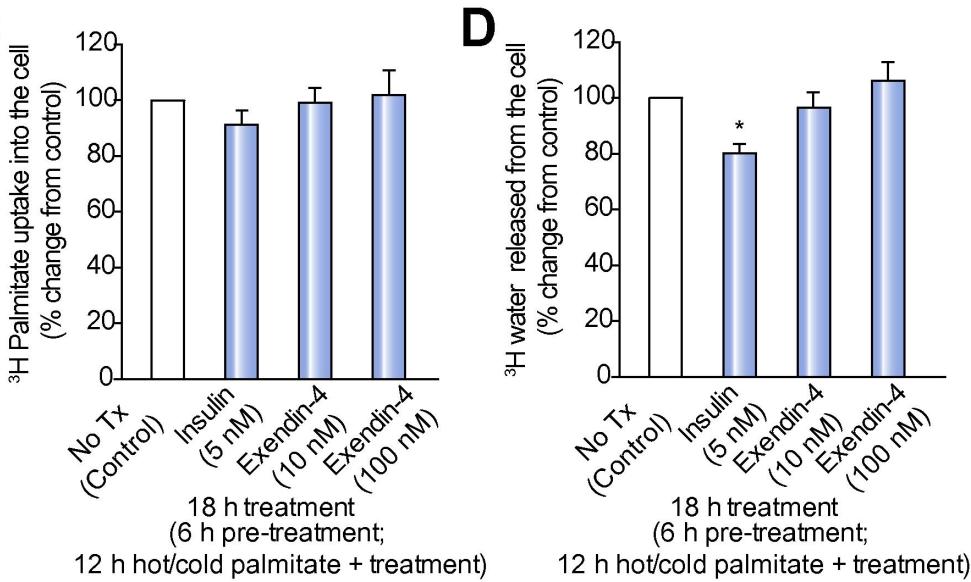 Επίδραση GLP-1 αναλόγων στο ηπατικό λίπος και τους παθογενετικούς του μηχανισμούς In vivo και in vitro μείωση της de novo λιπογένεσης In