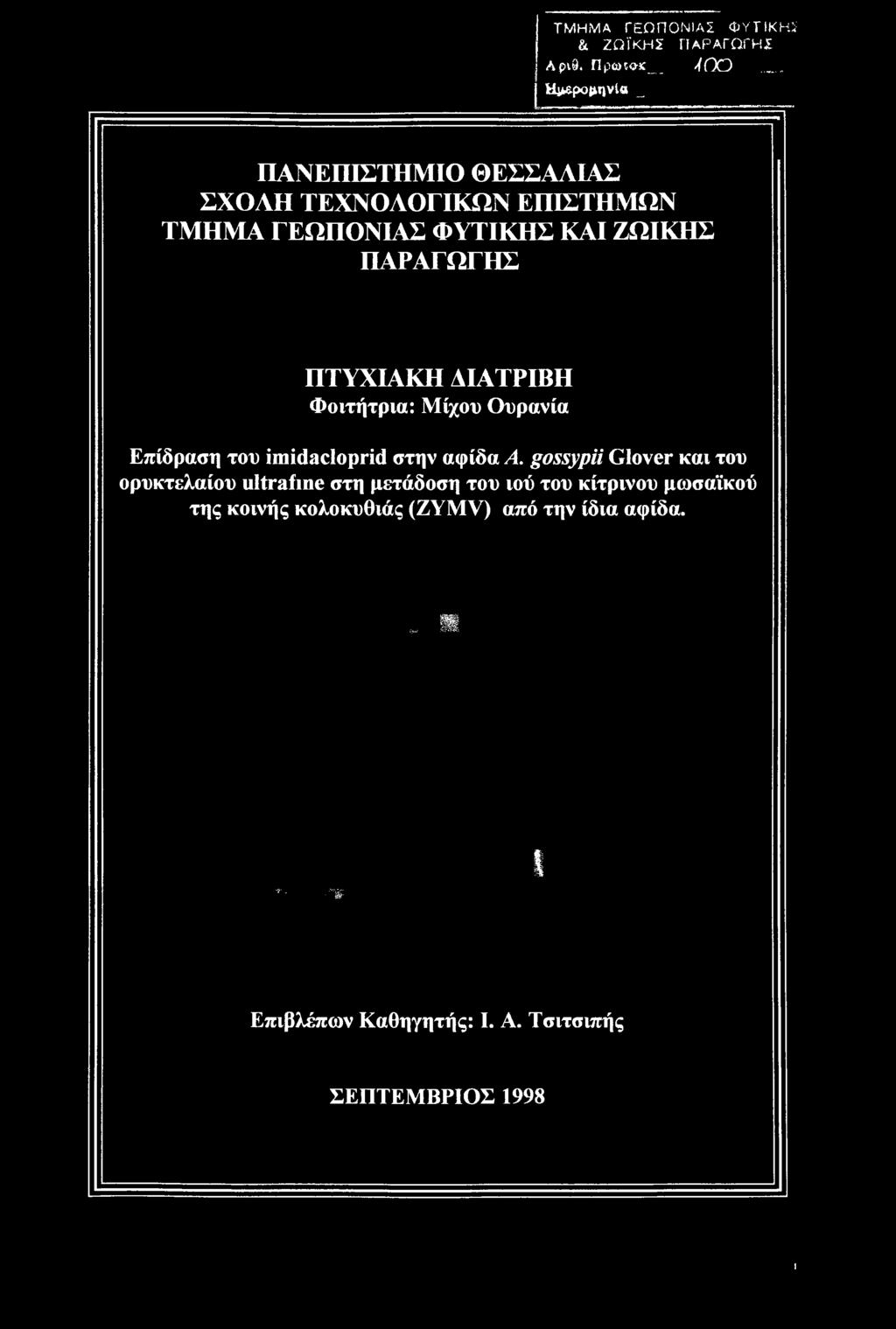 gossypii Glover και του ορυκτελαίου ultrafme στη μετάδοση του ιού του