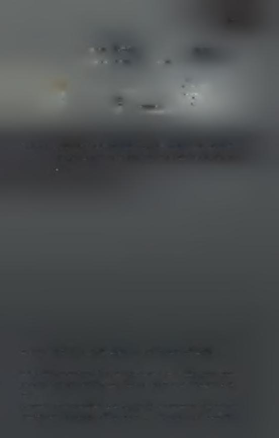 Αφίδα A.