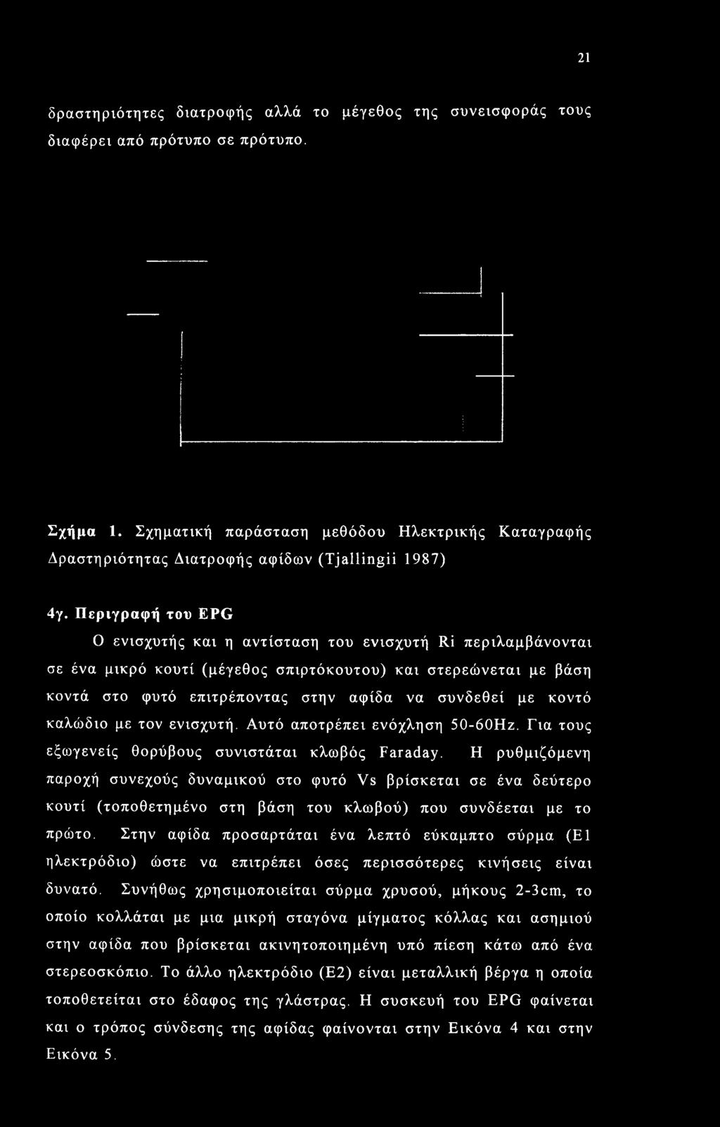 Η ρυθμιζόμενη παροχή συνεχούς δυναμικού στο φυτό Vs βρίσκεται σε ένα δεύτερο κουτί (τοποθετημένο στη βάση του κλωβού) που συνδέεται με το πρώτο.