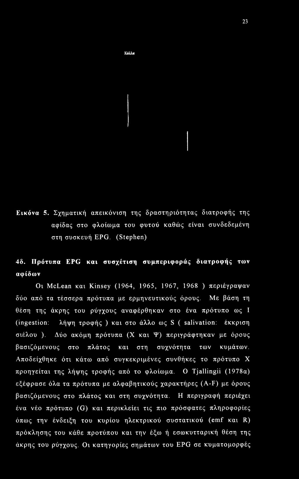 Με βάση τη θέση της άκρης του ρύγχους αναφέρθηκαν στο ένα πρότυπο ως I (ingestion: λήψη τροφής ) και στο άλλο ως S ( salivation: έκκριση σιέλου ).