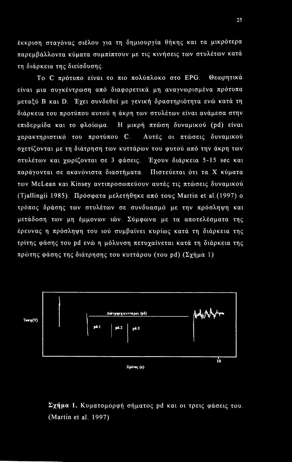 Έχει συνδεθεί με γενική δραστηριότητα ενώ κατά τη διάρκεια του προτύπου αυτού η άκρη των στυλέτων είναι ανάμεσα στην επιδερμίδα και το φλοίωμα.