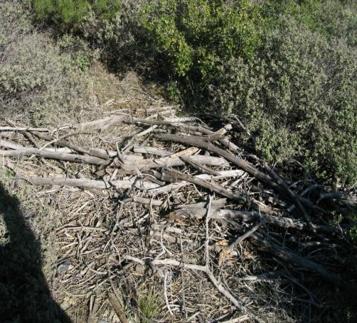 Στα καμένα Δάση και Δασικές Εκτάσεις επιδιώκεται: ηπροστασίατης καμένης έκτασης από περαιτέρω υποβάθμιση του οικοσυστήματος και ηπροστασίατου φυσικού