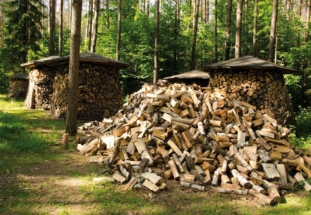 θερμική απόδοση Ο βαθμός απόδοσης ενός ξύλου δεν εξαρτάται μόνο από το είδος του, αλλά και από το ποσοστό υγρασίας του, καθώς και τη θερμοκρασία του χώρου καύσης.