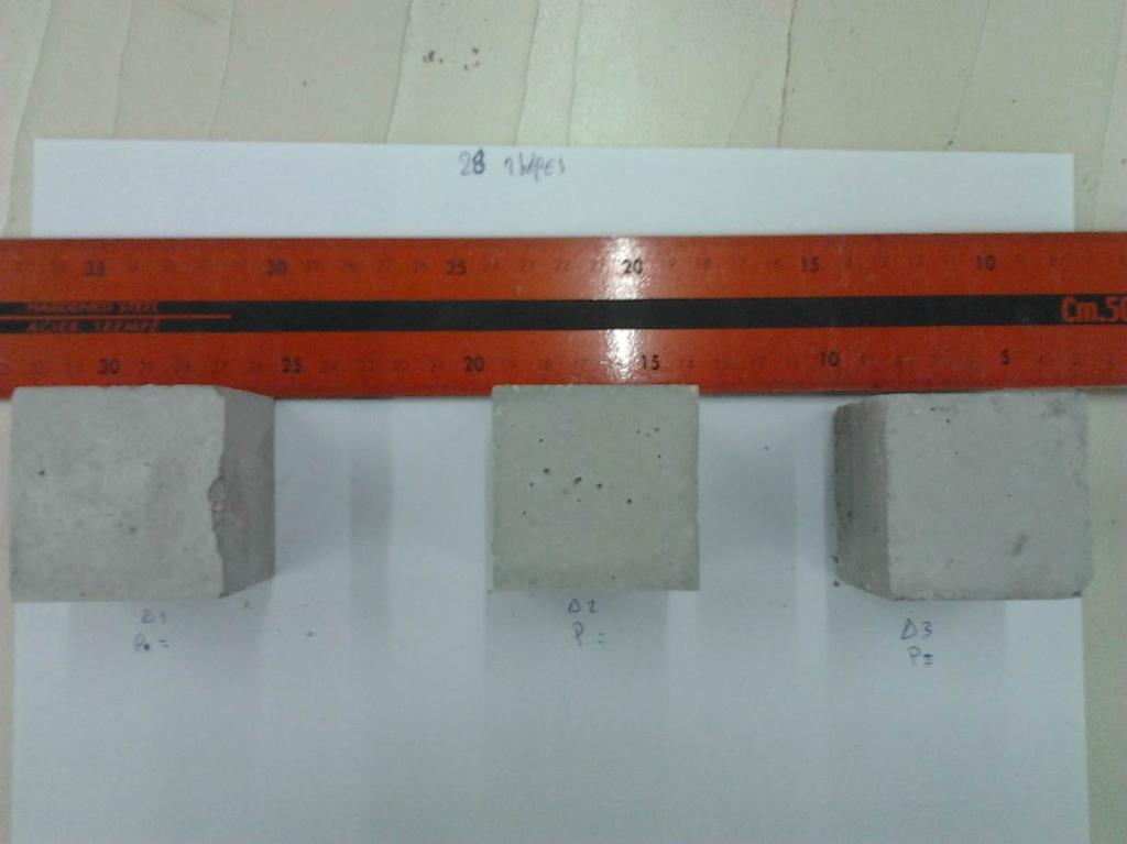 Εικόνα 3-4. Τα δοκίμια στις 28 ημέρες. 3.3. Προετοιμασία πρισμάτων για δοκιμές θλίψης Κατασκευάσαμε 4 πρίσματα με διαστάσεις όπως στον παρακάτω πίνακα.