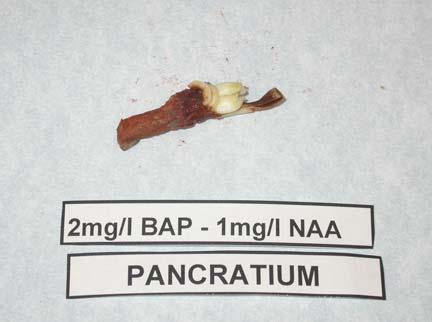 2 mg/l 