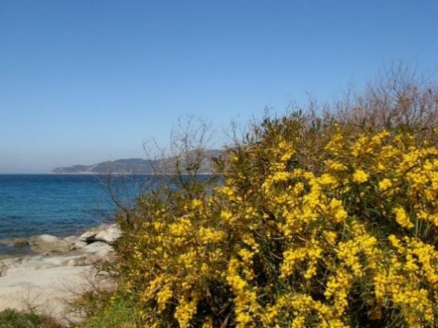 περιοχής, όταν μπορεί να βρεθεί μόνο εκεί. Ένα είδος μπορεί να είναι ενδημικό μίας βουνοκορφής ή λίμνης, μίας οροσειράς ή ποτάμιου συστήματος, ενός νησιού, μίας χώρας ή ακόμη και μίας ηπείρου. 1.
