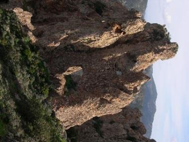 Τα βράχια και τα φαράγγια φιλοξενούν χασμόφυτα και έναν αριθμό δέντρων και θάμνων σε νάνες μορφές, λόγω του περιορισμένου νερού και θρεπτικών,