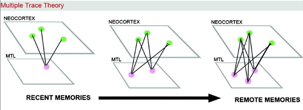 Στάδια Μνημονικών Διεργασιών Θεωρία του πολλαπλού αποτυπώματος (the multiple trace theory) (Moscovitch&Nadel,1998) Κάθε φορά που ενεργοποιείται μία μνήμη δημιουργείται