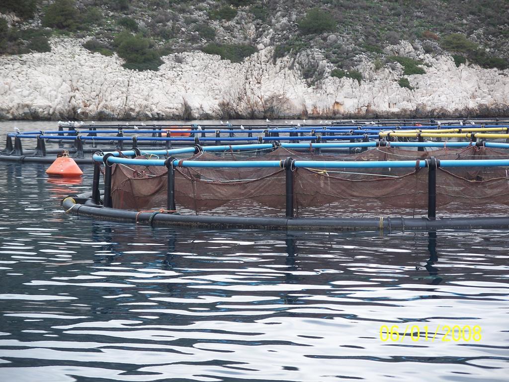 Εικόνα 2