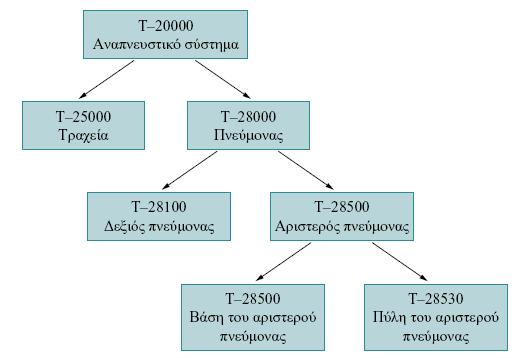 διαφορετικές κατηγορίες και που μπορούν να οργανωθούν ιεραρχικά).