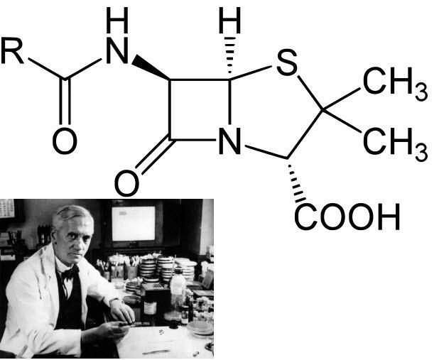 ΕΙΣΑΓΩΓΙΚΑ ΙΙ/ΙΙ Είναι μια από τις μεγαλύτερες ανακαλύψεις του 20 ου αιώνα, αν όχι η μεγαλύτερη Το πρώτο αντιβιοτικό ανακαλύφθηκε το 1928 από το Φλέμινγκ.