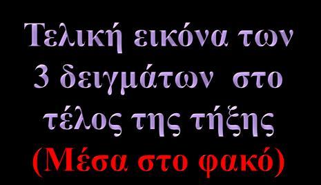 ηεο πξώηεο ζηαγόλαο ζηνλ ηξηρνεηδή