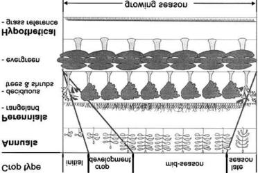 Σχήμα 14. Στάδια ανάπτυξης για διαφορετικούς τύπους καλλιέργειας (Πηγή: FAO, 1998. Ch.
