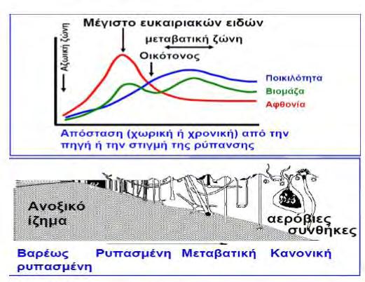 19 εμπλουτισμό εξαρτάται από τα βιολογικά γνωρίσματα των οργανισμών. Διαφορετικά είδη ενεργοποιούνται με διαφορετικά πρότυπα σημαντικά για τη ρύθμιση των συστημάτων.