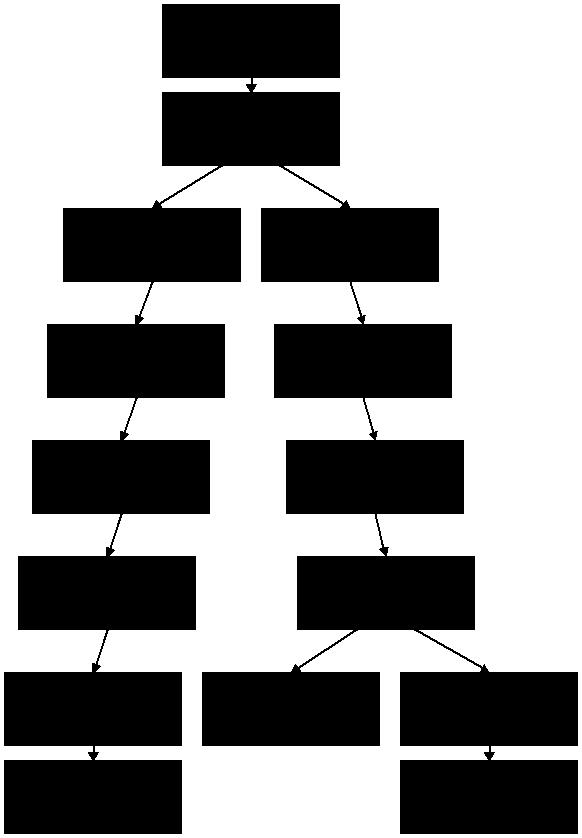 last level of