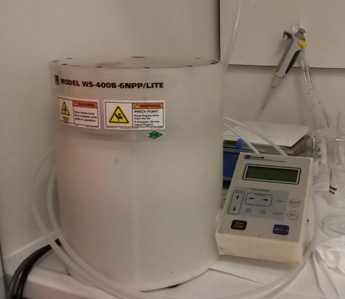 SEM και επιμετάλλωση με e-gun evaporation για τη δημιουργία των επαφών χρυσού(au). Τέλος, ένα δεύτερο lift off αφαιρεί τη ρητίνη και τα περιττά μέταλλα.
