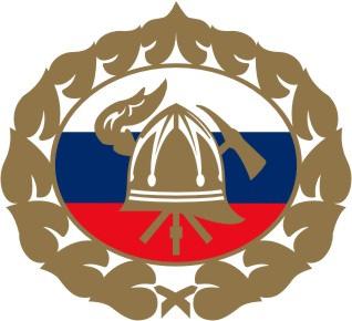 GASILSKA ZVEZA SLOVENIJE Tržaška cesta 22 000 LJUBLJANA T I P I Z A C I J A G A S I L S K I H V O Z I L Tipizacija gasilskih vozil je bila sprejeta na