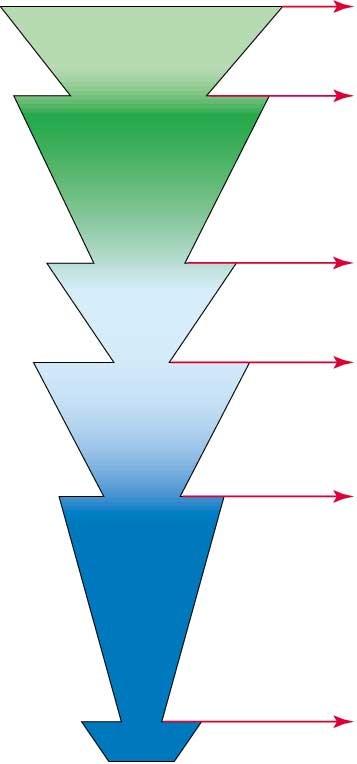 Era Period Millions of Cenozoic years ago Quaternary Today Tertiary 65 Bar width represents relative number of living species Species and families experiencing mass extinction Extinction Extinction