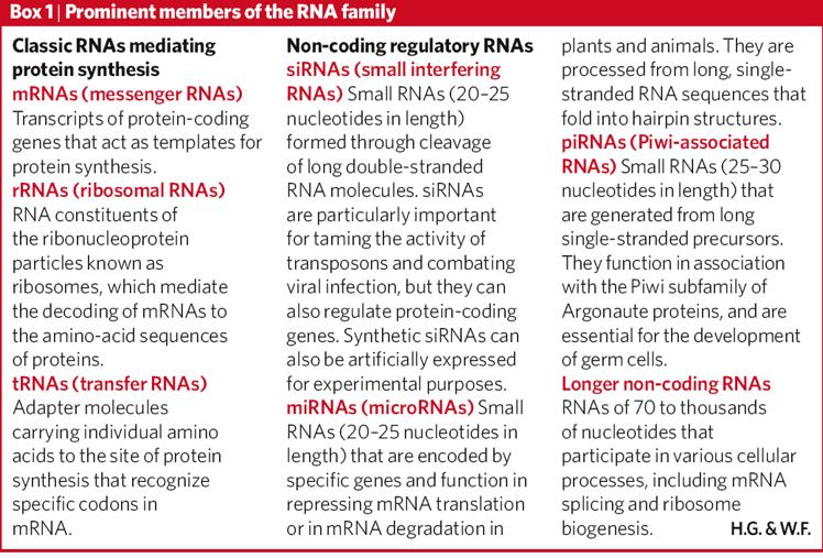 !57 RNA