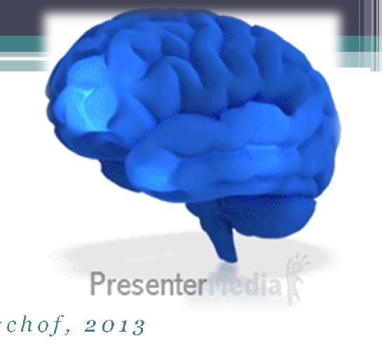 Νευρωνική πλαστικότητα Είναι δυνατή στον ηλικιωμένο εγκέφαλο Gutchess, 2014. Carmeli, 2014.