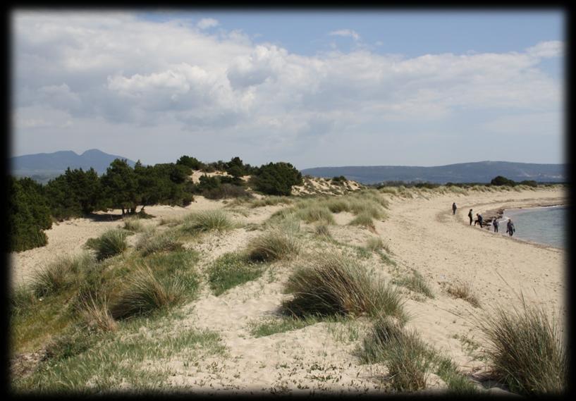 Είκονα 22: Όρμος Βοϊδοκοιλιάς,