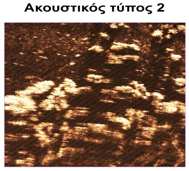 λιμνοθάλασσας οι οποίες είναι καλυμένες από υδρόβια βλάστηση, με λιγότερο πυκνή