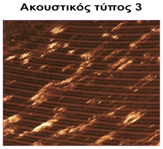 Η υδρόβια φυτοκάλυψη του τύπου αυτού αποτελείται, επίσης, από τη μίξη των ειδών Ruppia cirrhosa (πιο έντονη καταγραφή) και Cymodocea nodosa (λιγότερο έντονη καταγραφή).