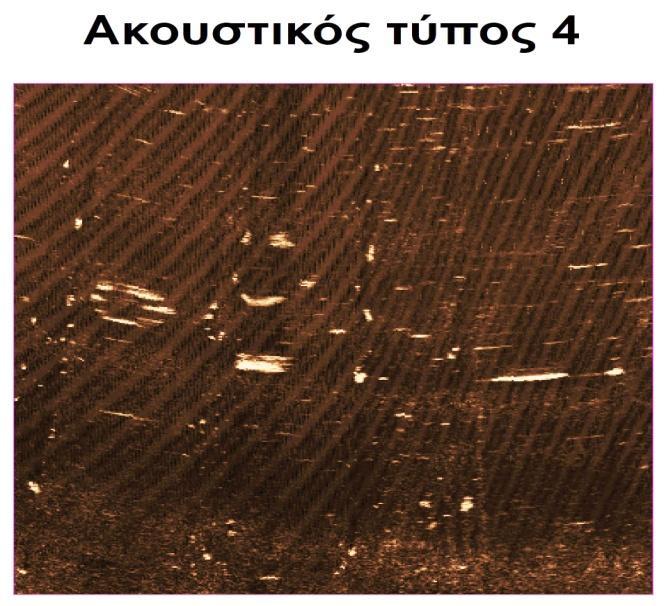 Ο ακουστικός τύπος 3 (Εικόνα 4.5) αφορά στις περιοχές της λιμνοθάλασσας, οι οποίες είναι καλυμένες από αραιή βλάστηση. Πρόκειται για ακουστικό τύπο χαμηλής ανακλαστικότητας με διάστικτο χαρακτήρα.