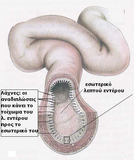 Άλλη μία