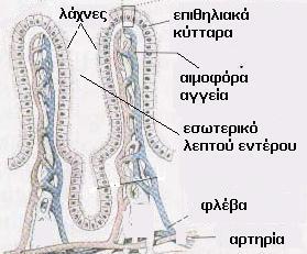 αναπαράσταση για